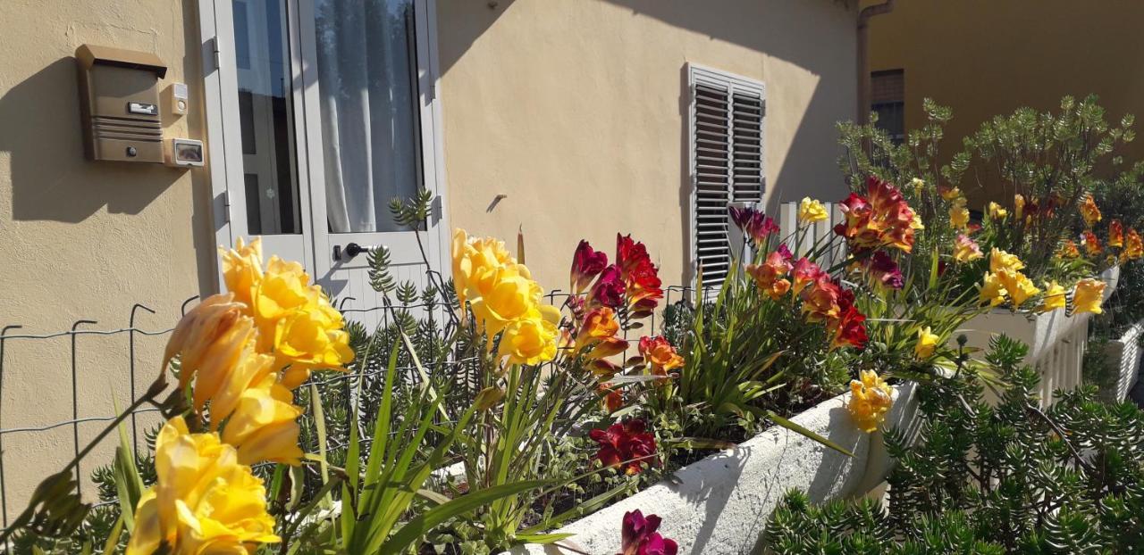 Sa Domu Antiga Villa Solarussa Bagian luar foto