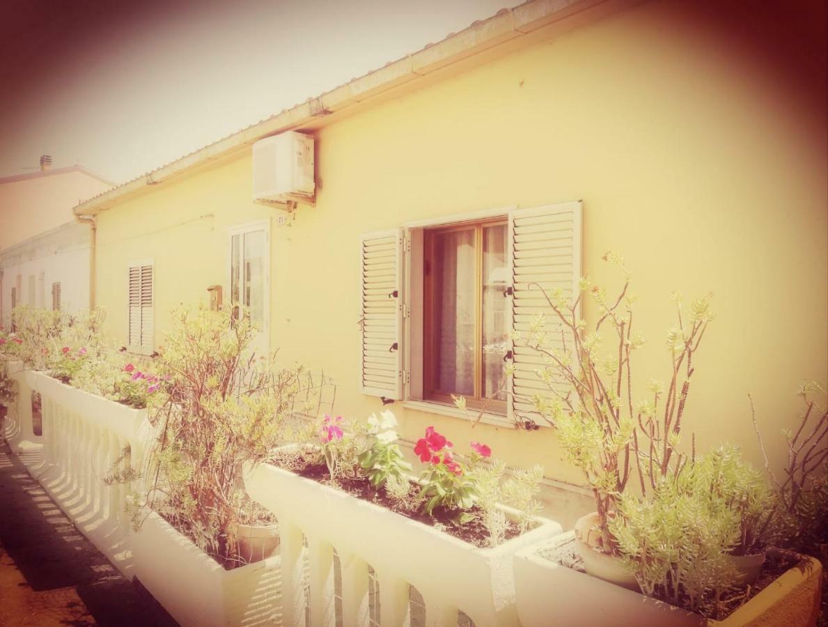 Sa Domu Antiga Villa Solarussa Bagian luar foto