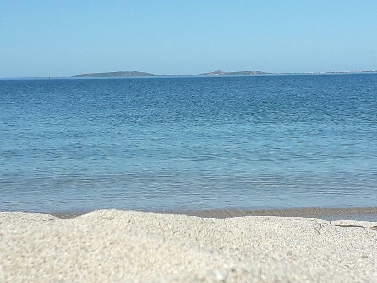 Sa Domu Antiga Villa Solarussa Bagian luar foto